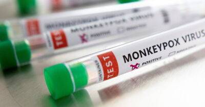 ВОЗ призывает к срочным действиям для предотвращения распространения оспы обезьян