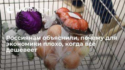 Доцент Хачатурян: без импорта падает качество продуктов отечественного производителя