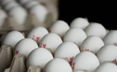 Торговые сети Израиля поднимут цены на куриные яйца