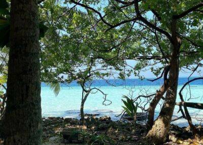 «Один из лучших в бюджетном сегменте»: отзыв об отдыхе в отеле-острове на Мальдивах