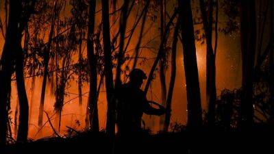 Лесные пожары в Португалии: минимум 32 человека пострадали