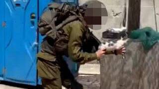 Видео: военнослужащая ЦАХАЛа использовала котенка, как автомат