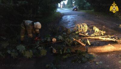 В Тверской области ветер валил деревья и рвал провода