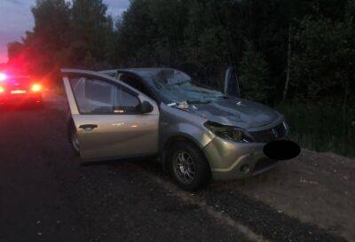 Водитель попал в больницу, столкнувшись с лосем на дороге в Тверской области