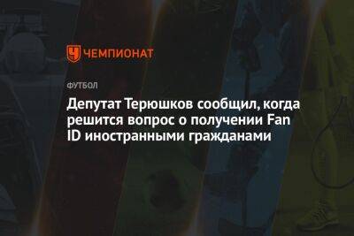 Депутат Терюшков сообщил, когда решится вопрос о получении Fan ID иностранными гражданами