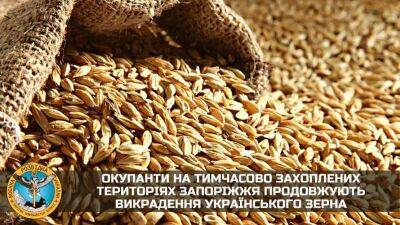 У Запорізькій області окупанти крадуть українське зерно під керівництвом колишнього нардепа