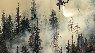 Йосемити: лесной пожар угрожает гигантским секвойям