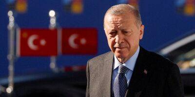 Говорили о зерновых коридорах. Эрдоган провел телефонный разговор с Путиным — турецкие СМИ