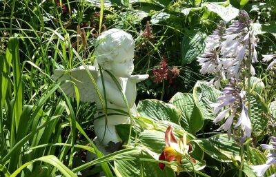 В Твери пройдет Фестиваль исцеляющих искусств в Ботаническом саду