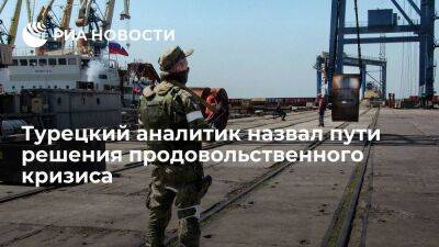 Политолог Озертем: продовольственный кризис можно решить разблокированием портов Украины