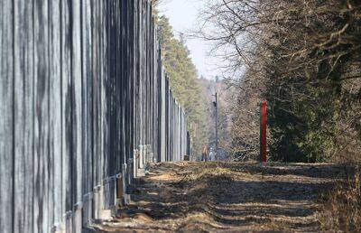 Беларусь в ООН призвала Польшу снести стену в Беловежской пуще и не злоупотреблять территориальным положением