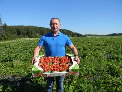 Чеснок и ягоды из Шадейки Кунгурского округа от Игоря Дмитриева