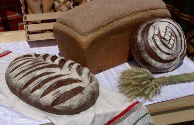Ароматный хлеб, сладкие булочки, разнообразие тортов: в Александрии компания «Домочай» угощала новинками и развлекала гостей