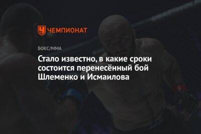 Стало известно, в какие сроки состоится перенесённый бой Шлеменко и Исмаилова