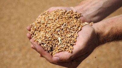 В Турции анонсировали четырехсторонние переговоры по экспорту украинского зерна