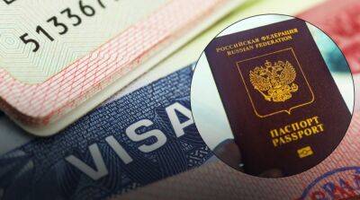 В МИД рассказали, сколько россиян уже обратились за украинской визой