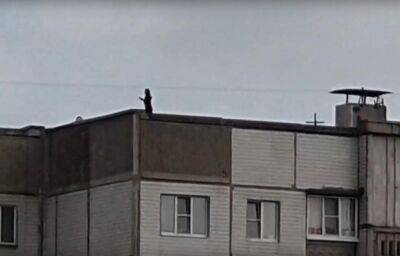 В Ржеве Тверской области девочки-подростки забрались на крышу девятиэтажки