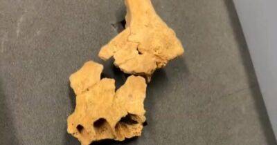 В Испании обнаружили лицевые кости "первого европейца" (фото)