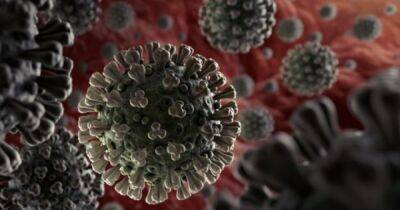 Адан Гебреисус - Пандемия коронавируса завершится нескоро, — глава ВОЗ - dsnews.ua - Украина - Франция