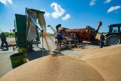 Израиль достиг договоренности о поставках казахстанской пшеницы