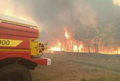 У Франції вирують лісові пожежі