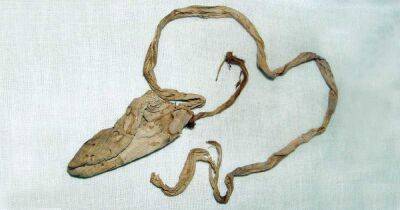 Тутанхамон використав презервативи з просоченого олією льону, — вчені (фото)