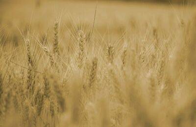 Украина находится в двух шагах от соглашения с Россией по экспорту зерна, заявил Кулеба