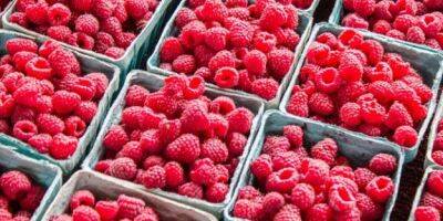 Стало известно, как за год изменились цены на сезонные ягоды