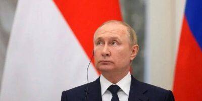 «Часть российской пропаганды». В Германии отреагировали на указ Путина об упрощенной выдаче паспортов РФ для украинцев