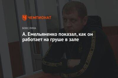 А. Емельяненко показал, как он работает на груше в зале