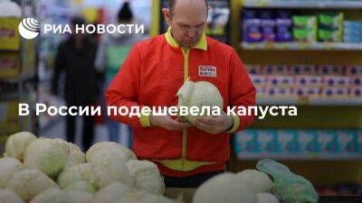 Росстат: капуста в России с 2 по 8 июля подешевела на 13,05 процента