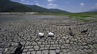 Мексика - Мексика объявила чрезвычайное положение из-за засухи - unn.com.ua - Украина - Киев - Мексика - Мехико - шт. Калифорния