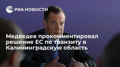 Медведев: ЕС нехотя признал, что требования России по транзиту в Калининград справедливы