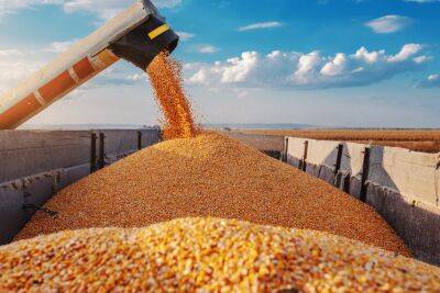 Прорыв в переговорах о морских поставках зерна из Украины