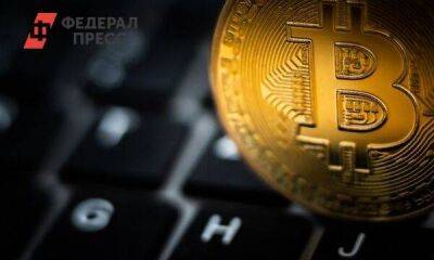 Криптовалюта в свободном падении: продолжится ли обвал цифровых активов в России и мире