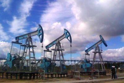 Украина и США обсудили ограничение цен на российскую нефть