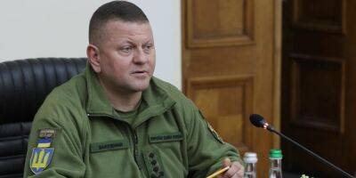 Залужный ответил на скандальную публикацию FT о риске контрабанды оружия из Украины