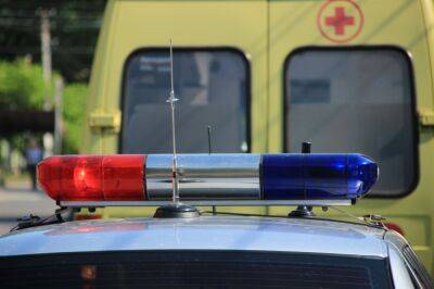 Трое детей и мужчина пострадали в ДТП на трассе М9 в Тверской области