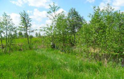 В Тверской области выявили неиспользуемый юрлицом земельный участок сельхозназначения