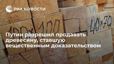 Путин подписал закон, разрешающий продать древесину, ставшую вещественным доказательством