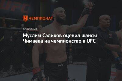 Муслим Салихов оценил шансы Чимаева на чемпионство в UFC