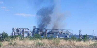 В Мариуполе партизаны подожгли завод Сателит — советник мэра