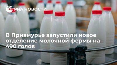 Глава Приамурья Орлов: в регионе запустили новое отделение молочной фермы на 490 голов