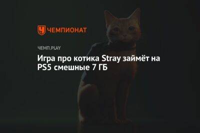 Игра про котика Stray займёт на PS5 смешные 7 ГБ