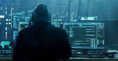 В России количество DDoS-атак выросло в 15 раз: постарались украинские хакеры