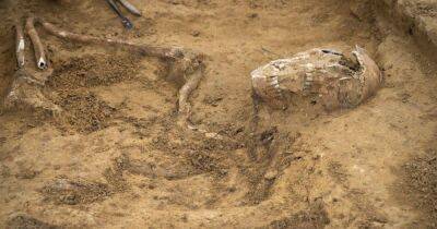 Археологи нашли редкие останки на поле битвы под Ватерлоо (фото)