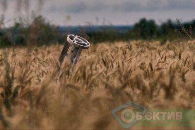 Из-за российских обстрелов на Харьковщине уже сгорело почти 50 га зерновых нового урожая