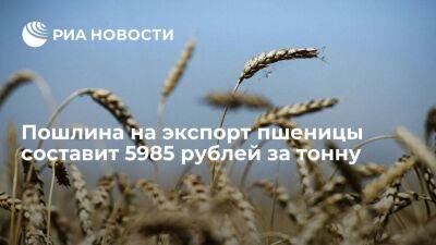 Минсельхоз: пошлина на экспорт пшеницы из России с 20 июля составит 5984,9 рубля за тонну