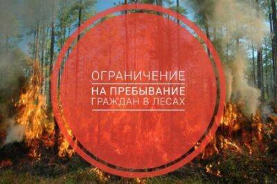 В связи с аномально жаркой погодой в Кунгурском округе ограничено посещение лесов