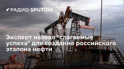 Эксперт назвал "слагаемые успеха" для создания российского эталона нефти